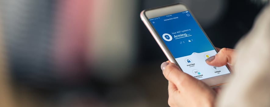 Savannah Home Automation