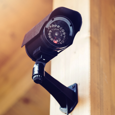 Savannah high-decibel alarm