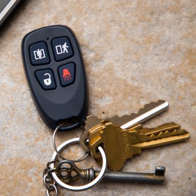 Savannah security panic button